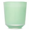 BOUGIES LA FRANCAISE - Vert Eucalyptus Candle 071767 200g/7.05oz